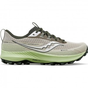 Saucony Peregrine 13 GTX Men's Running Shoes Grey / Mint | NEW ZEALAND DRUEX