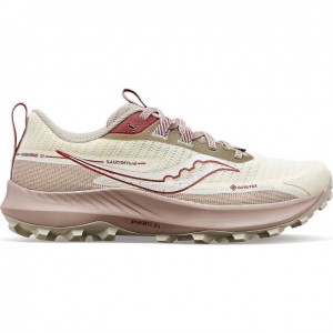 Saucony Peregrine 13 GTX Women's Trail Running Shoes White | NZ LXJER