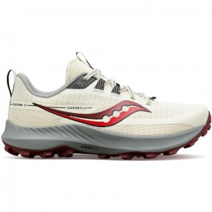 Saucony Peregrine 13 Women's Trail Running Shoes White | NEW ZEALAND KNOJM