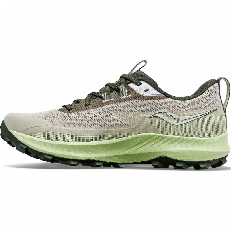 Saucony Peregrine 13 GTX Men's Running Shoes Grey / Mint | NEW ZEALAND DRUEX